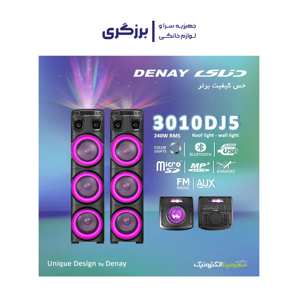 اسپیکر دیجی دار دنای DENAY DE-3010DJ5